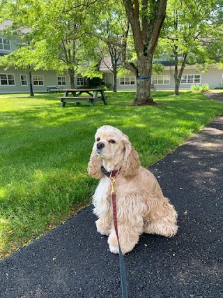 Veterinary Emergency Center