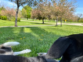 West Swinney Park Disc Golf Course