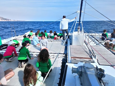 Catamarán Mundo Marino Jávea | Excursiones en barco Jávea