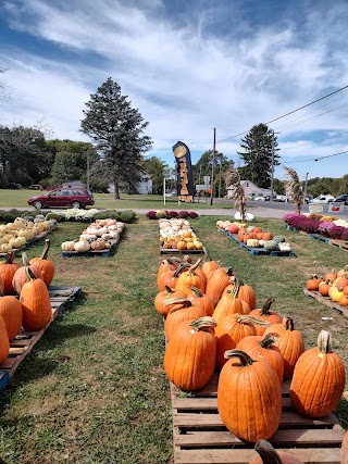 Ward's Farmer's Market