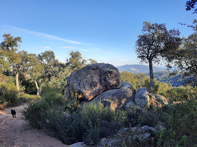 Poblado íbero de Montbarbat