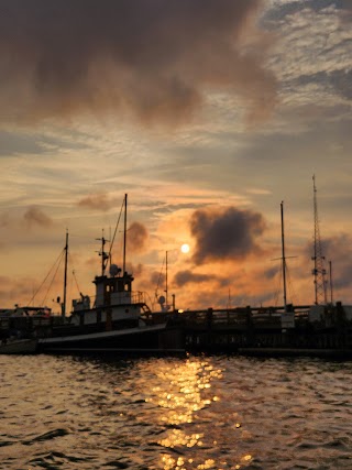 New Bedford Harbor Tours