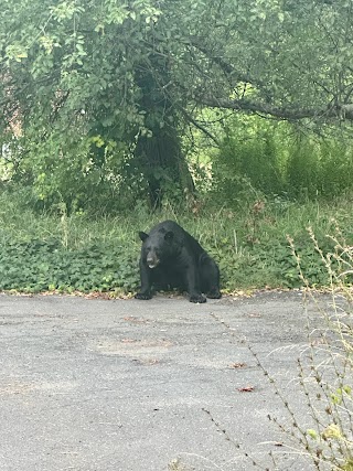 East Mountain Wildlife Management Area