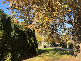 Leo-Cedarville Town Park