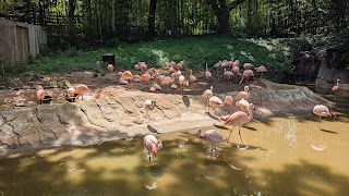 Zoo Atlanta Member Services Office