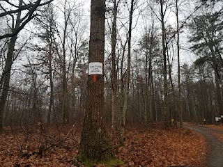 Luke Road - Delaware State Forest