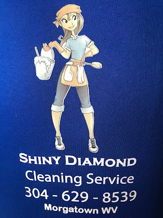Shiny diamond cleaning services