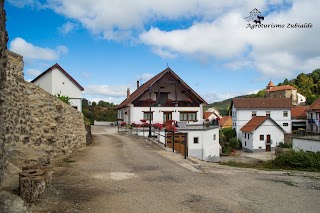 Agroturismo Zubialde/Selva de Irati