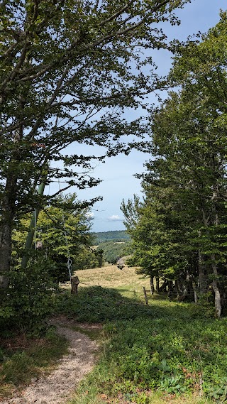 Point de Vue en sommet aux Lac des Perches