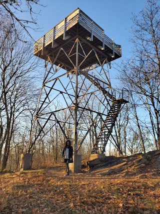 Wesser Bald Fire Tower