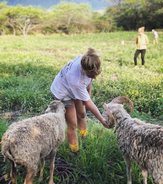 Farm Tours at Kahumana Organic Farms & Cafe