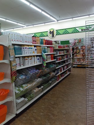 Dollar Tree