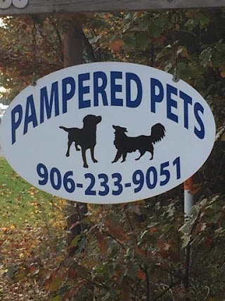 Pampered Pets