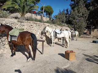 Finca El Charco Multiaventura