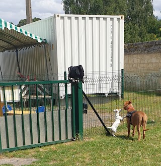 COMPIEGNE EDUCATION CANINE