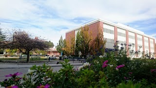 College of Business at the University of Nevada, Reno