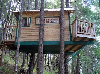 Vertical Horizons Treehouse Paradise