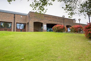 Adolphine Fletcher Terry Library