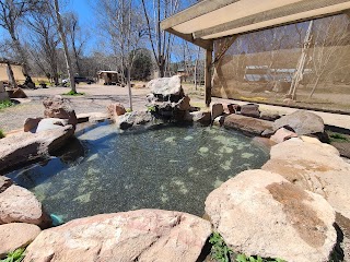 Gila Hot Springs and Campground