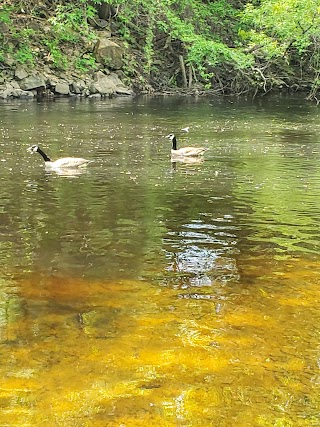 Bass Island Park