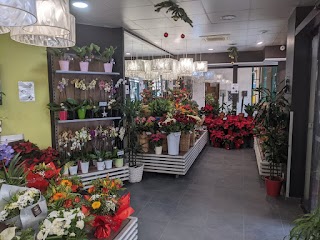 Carrément Fleurs - Fleuriste Nîmes 30 - Livraison de fleurs à domicile