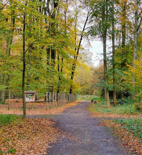 Bad Oeynhausener Schweiz