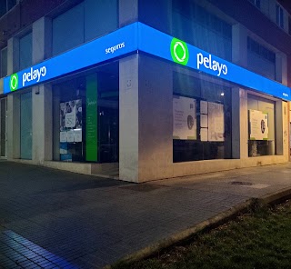 Oficina Seguros Pelayo