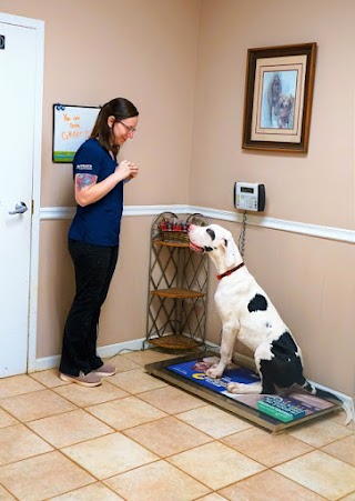 Mill Creek Animal Hospital