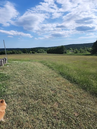 Arbor Acres Open Space