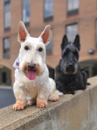 Pup City Grooming & Bakery