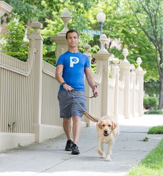 Patrick's Pet Care - Enrichment Walking & Dog Training Office