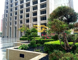 Patrick V. McNamara Federal Building