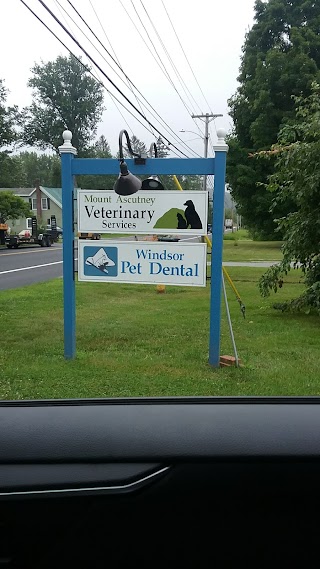 Windsor Pet Dental