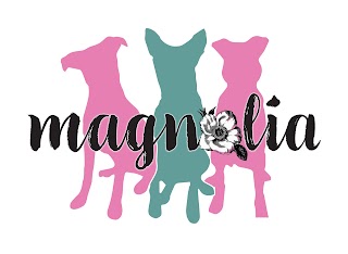 Magnolia Canine Adventures