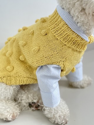 Colette et Gastón pet clothes