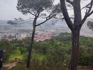 Botánico de Montealegre