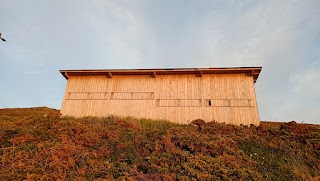 Observatorio de aves