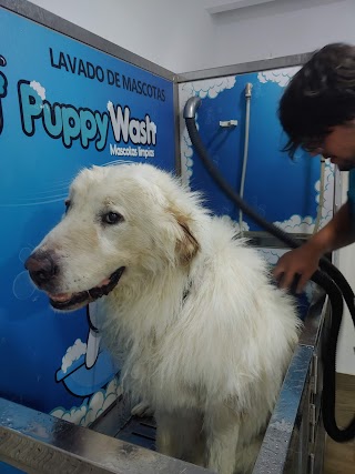 puppywash