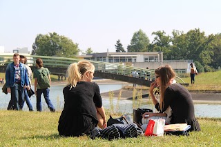 Université d'Orléans