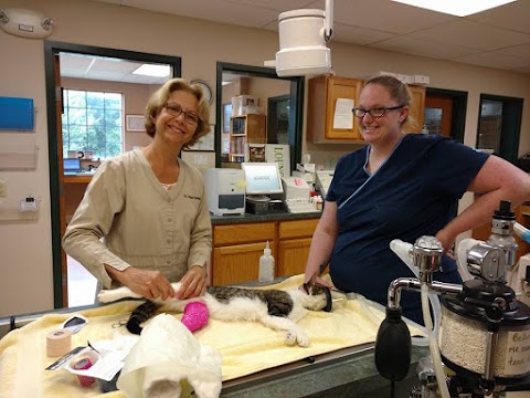 Photo of Ann Arbor Cat Clinic - 3690 Packard Street, Ann Arbor, MI 48108, USA