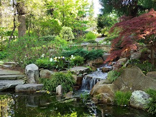 UNC Charlotte Botanical Gardens