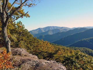 Hot Springs Treehouse Cabins