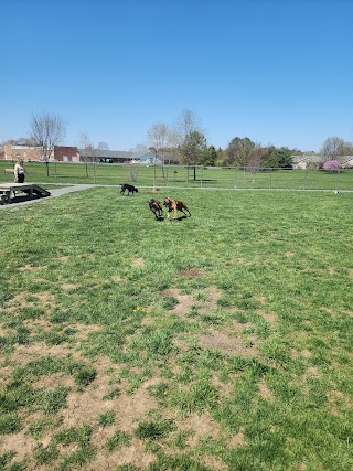 Chestertown Dog Park