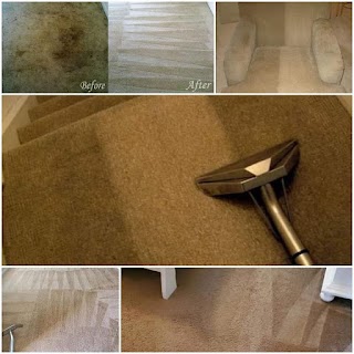 Clear Vision Carpet & Floor Care, Inc.