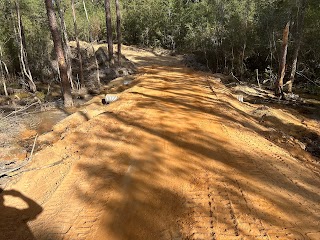 Accessible Land Clearing