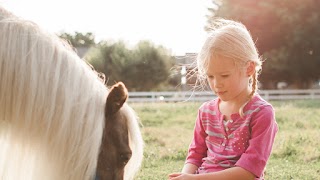 My Mini Pony Party & Pets