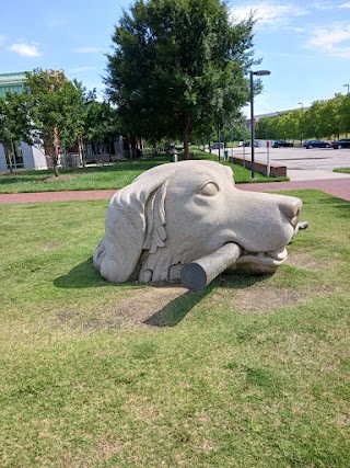 The NC State College of Veterinary Medicine