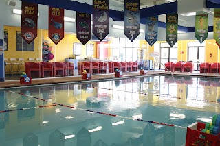 Aqua-Tots Swim Schools Lexington