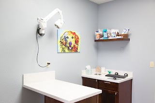 Arizona Veterinary Dental Specialists - Scottsdale
