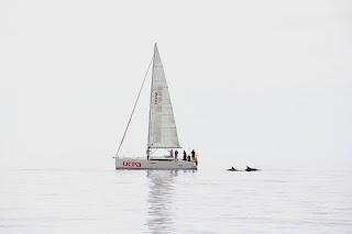 Ecole de Voile & Croisières UCPA